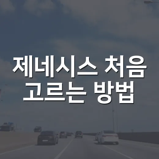 제네시스 처음 고르는 방법, 모델별 성격과 예산을 이렇게 맞추면 편합니다 - 요약