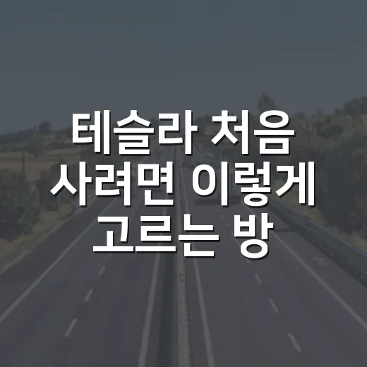 테슬라 처음 사려면 이렇게 고르는 방법 - 요약