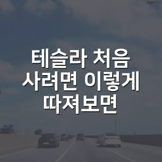 테슬라 처음 사려면 이렇게 따져보면 실패 확률이 줄어듭니다 - 요약