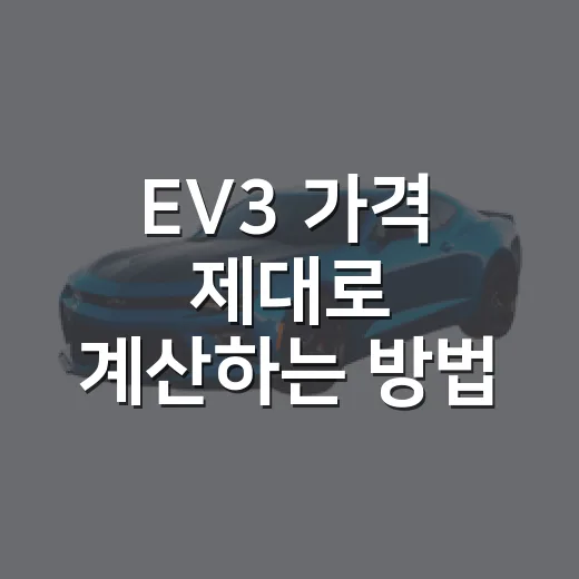 EV3 가격 제대로 계산하는 방법, 보조금까지 보면 얼마가 맞을까 - 요약