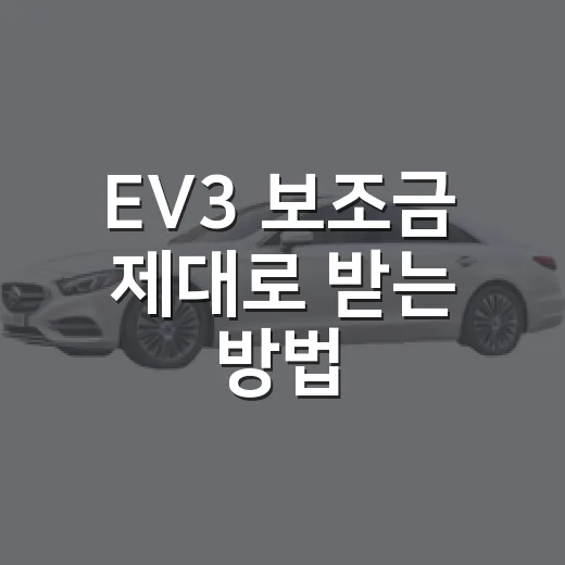 EV3 보조금 제대로 받는 방법, 지역별 실구매가 계산은 이렇게 - 요약