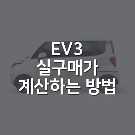 EV3 실구매가 계산하는 방법, 보조금 빼고 실제로 얼마 준비해야 할까 - 요약