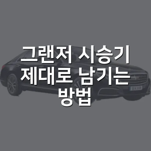 그랜저 시승기 제대로 남기는 방법: 초보자가 봐야 할 승차감·공간·유지비 체크 - 요약