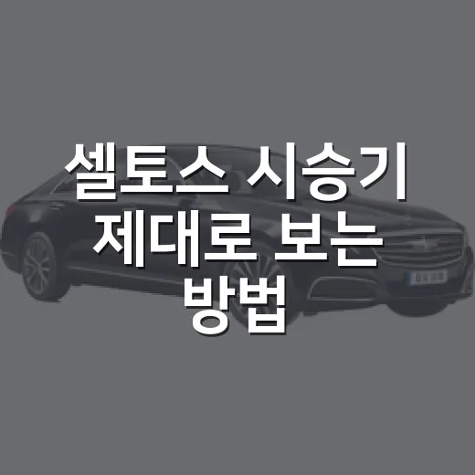 셀토스 시승기 제대로 보는 방법, 구매 전에 꼭 느껴봐야 할 포인트 - 요약