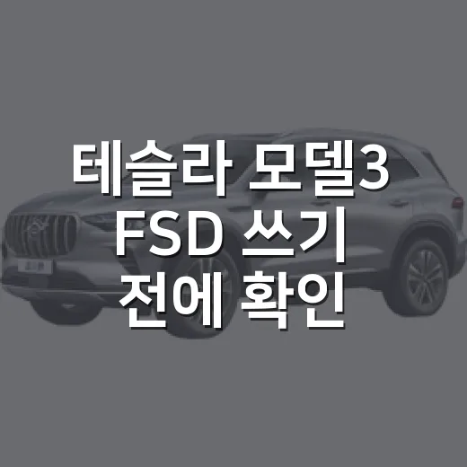 테슬라 모델3 FSD 쓰기 전에 확인하는 방법 - 요약