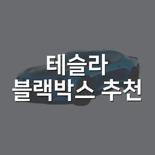 테슬라 블랙박스 추천, 순정 대시캠과 추가 장비 고르는 방법 - 요약