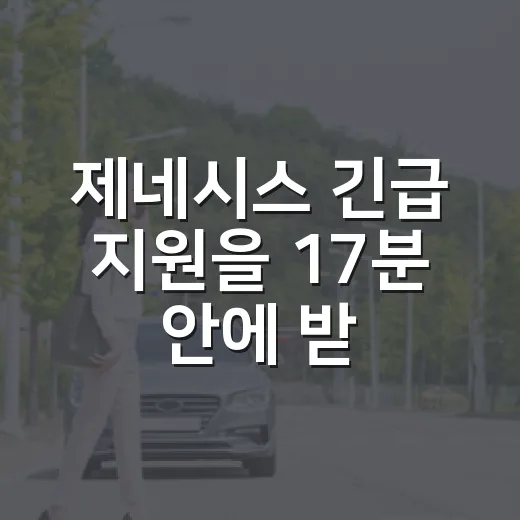 제네시스 긴급 지원을 17분 안에 받으려면 이렇게 준비하세요 - 요약