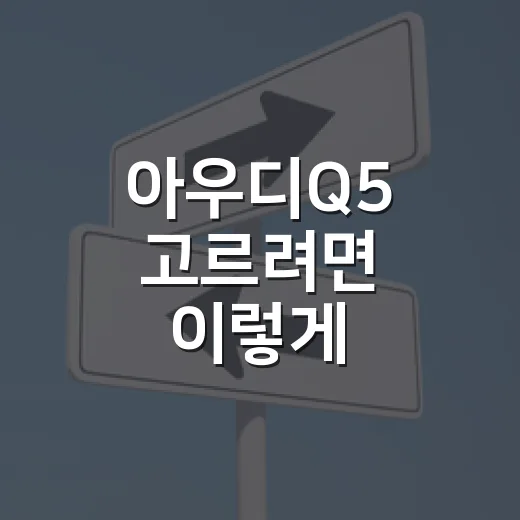 아우디Q5 고르려면 이렇게 비교하면 됩니다 - 요약