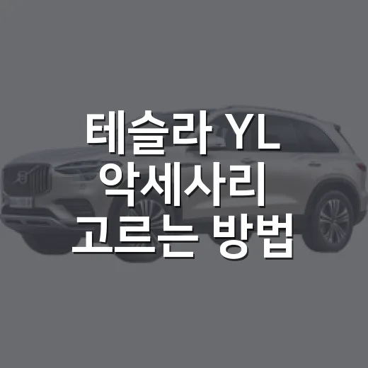 테슬라 YL 악세사리 고르는 방법, 출고 직후 후회 줄이는 구성 - 요약