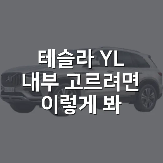 테슬라 YL 내부 고르려면 이렇게 봐야 합니다 - 요약