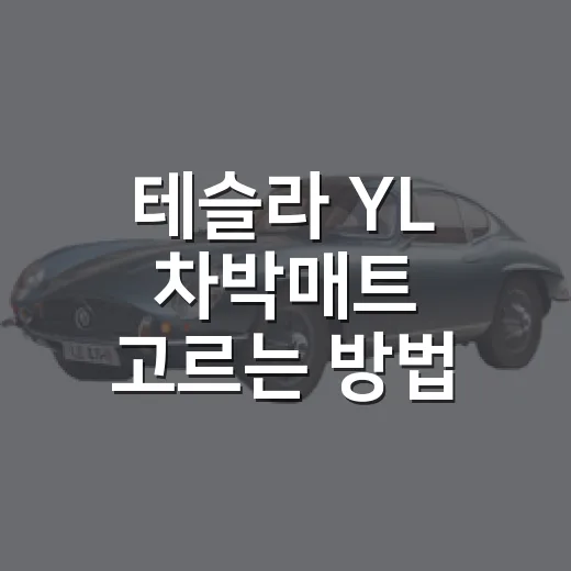 테슬라 YL 차박매트 고르는 방법, 6인승 구조에 맞춰 이렇게 보세요 - 요약