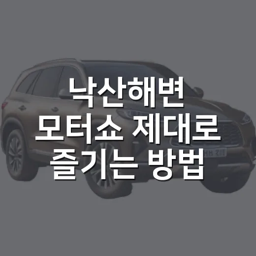 낙산해변 모터쇼 제대로 즐기는 방법, 차량 전시부터 주차 동선까지 - 요약