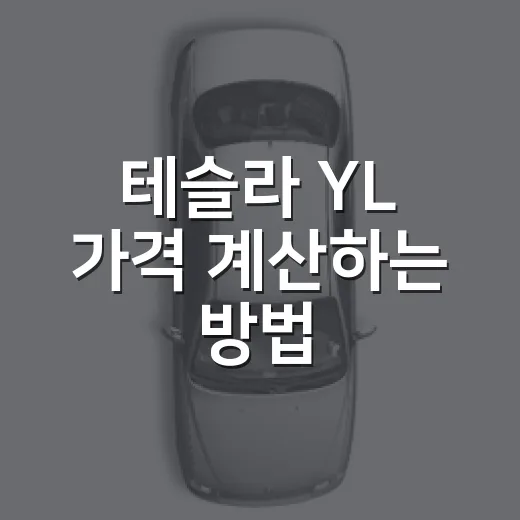 테슬라 YL 가격 계산하는 방법, 7천만 원대가 끝이 아닌 이유 - 요약