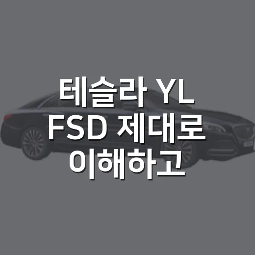 테슬라 YL FSD 제대로 이해하고 고르는 방법 - 요약