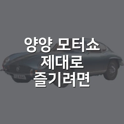 양양 모터쇼 제대로 즐기려면 이렇게 준비하세요 - 요약