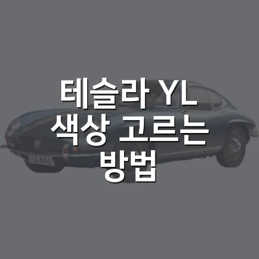 테슬라 YL 색상 고르는 방법, 실물 느낌과 관리 난이도까지 따져보기 - 요약