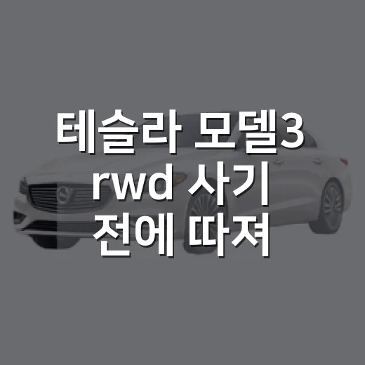 테슬라 모델3 rwd 사기 전에 따져보는 방법 - 요약