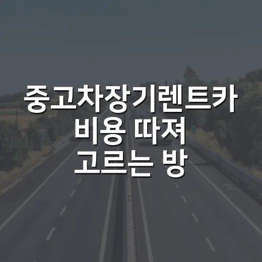 중고차장기렌트카 비용 따져 고르는 방법 - 요약