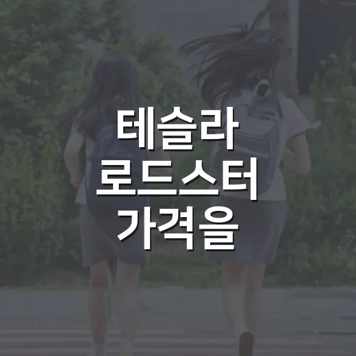 테슬라 로드스터 가격을 확인하는 방법 - 요약