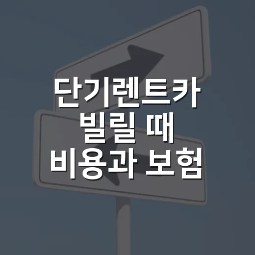 단기렌트카 빌릴 때 비용과 보험 확인하는 방법 - 요약