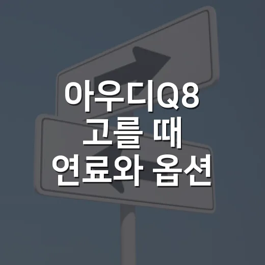 아우디Q8 고를 때 연료와 옵션 비교하는 방법 - 요약
