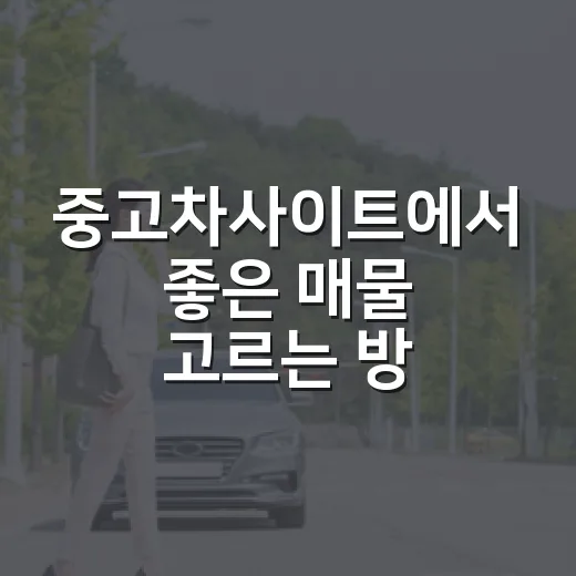 중고차사이트에서 좋은 매물 고르는 방법 - 요약