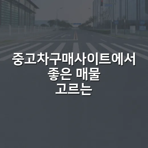 중고차구매사이트에서 좋은 매물 고르는 방법 - 요약