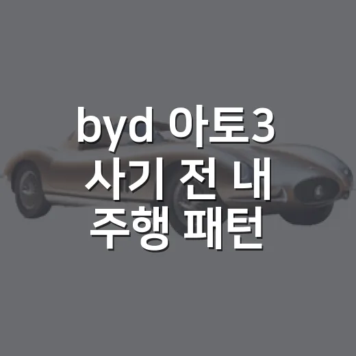 byd 아토3 사기 전 내 주행 패턴에 맞추는 방법 - 요약
