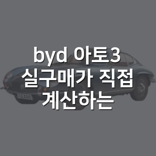byd 아토3 실구매가 직접 계산하는 방법 - 요약