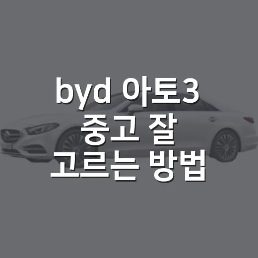 byd 아토3 중고 잘 고르는 방법 - 요약