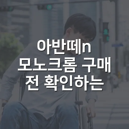 아반떼n 모노크롬 구매 전 확인하는 방법 - 요약