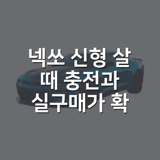 넥쏘 신형 살 때 충전과 실구매가 확인하는 방법 - 요약