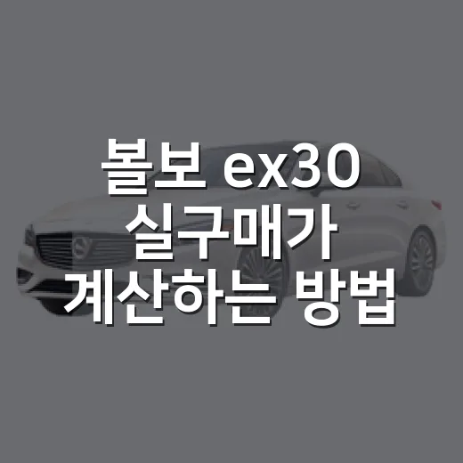 볼보 ex30 실구매가 계산하는 방법 - 요약