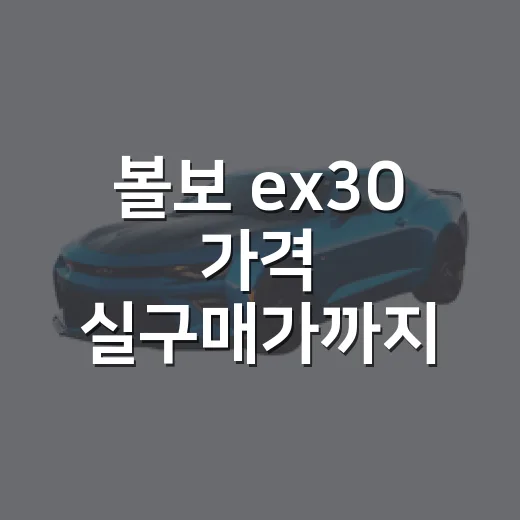 볼보 ex30 가격 실구매가까지 계산하는 방법 - 요약