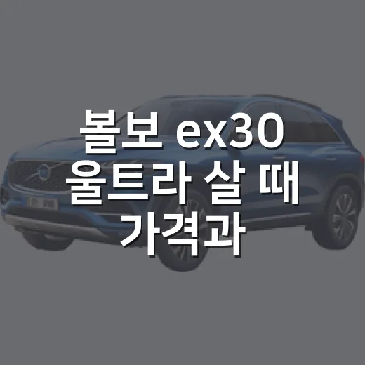 볼보 ex30 울트라 살 때 가격과 옵션 따지는 방법 - 요약