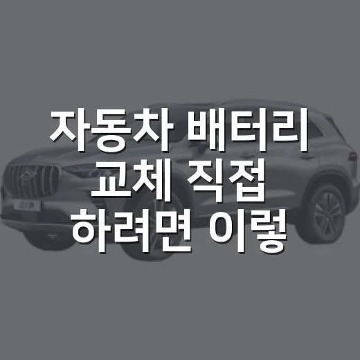 자동차 배터리 교체 직접 하려면 이렇게 - 요약