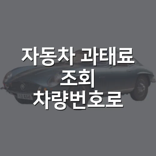 자동차 과태료 조회 차량번호로 확인하는 방법 - 요약