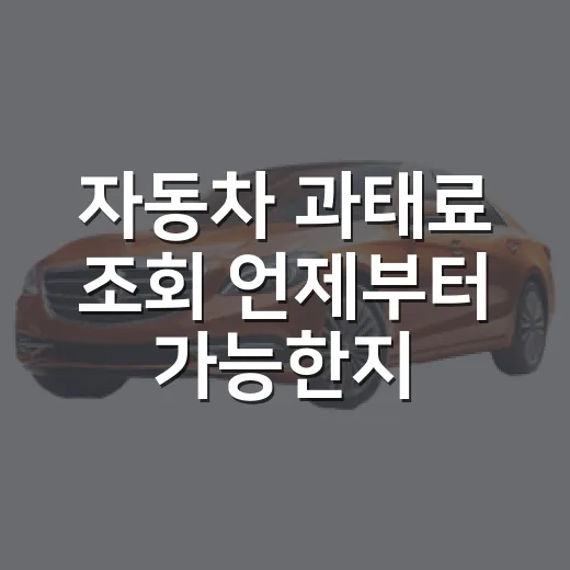 자동차 과태료 조회 언제부터 가능한지 확인하는 방법 - 요약