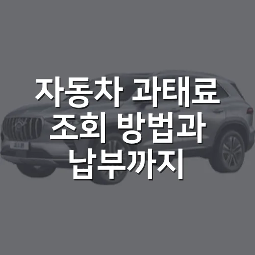 자동차 과태료 조회 방법과 납부까지 확인하는 법 - 요약