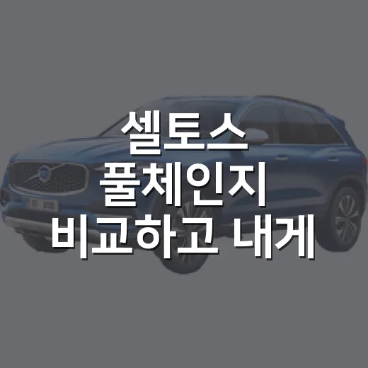셀토스 풀체인지 비교하고 내게 맞는 모델 고르는 방법 - 요약