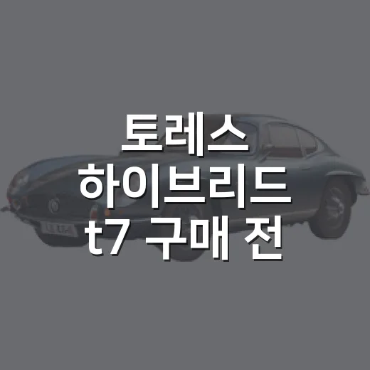 토레스 하이브리드 t7 구매 전 가격과 옵션 비교하는 방법 - 요약