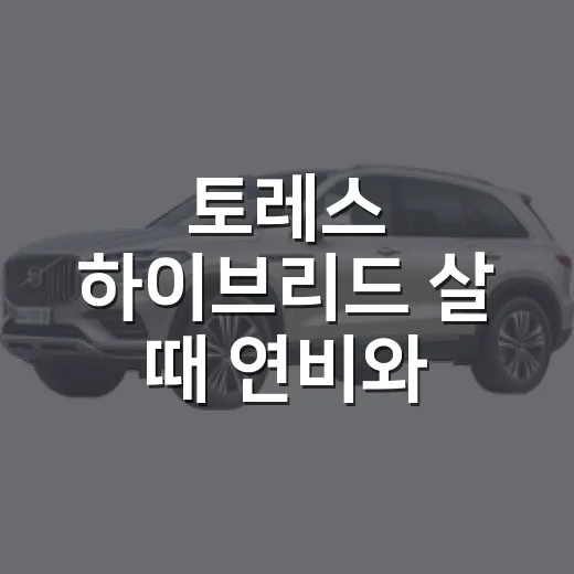 토레스 하이브리드 살 때 연비와 옵션 따지는 방법 - 요약