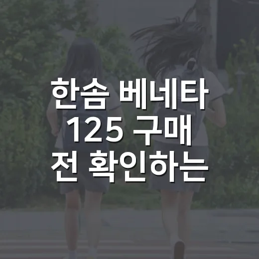 한솜 베네타 125 구매 전 확인하는 방법 - 요약