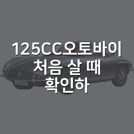 125CC오토바이 처음 살 때 확인하는 방법 - 요약