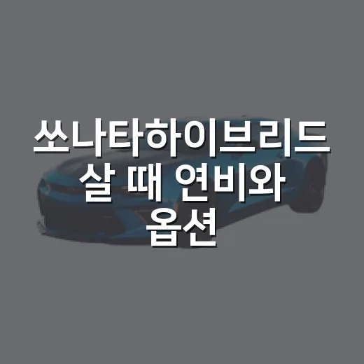 쏘나타하이브리드 살 때 연비와 옵션 고르는 방법 - 요약