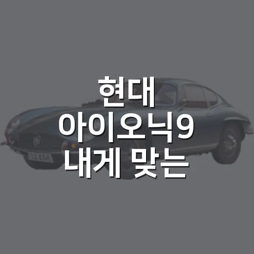 현대 아이오닉9 내게 맞는 사양 고르는 방법 - 요약