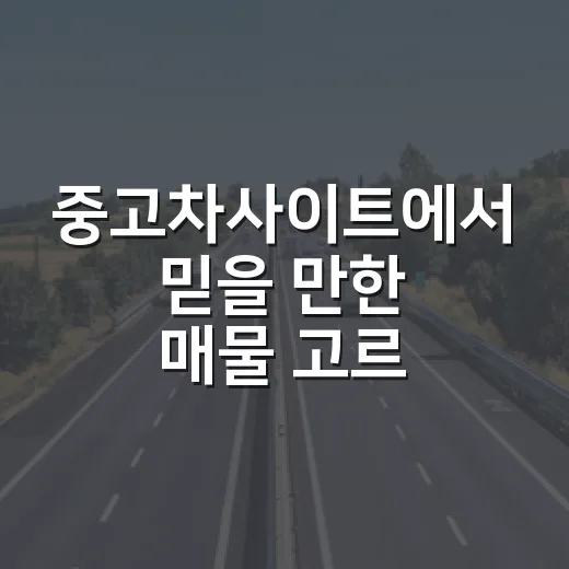 중고차사이트에서 믿을 만한 매물 고르는 방법 - 요약
