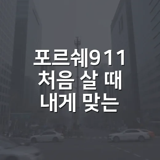 포르쉐911 처음 살 때 내게 맞는 모델 고르는 방법 - 요약