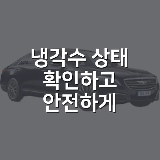 냉각수 상태 확인하고 안전하게 보충하는 방법 - 요약