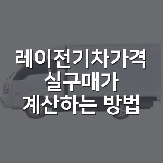 레이전기차가격 실구매가 계산하는 방법 - 요약